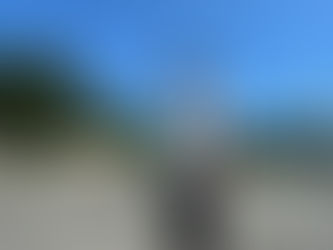 暑いです溶けます