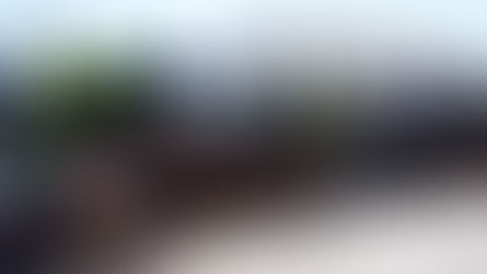 Drawn2Gether: Georgetown Harbour's AntiGallery