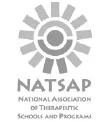 natsap logo in greyscale