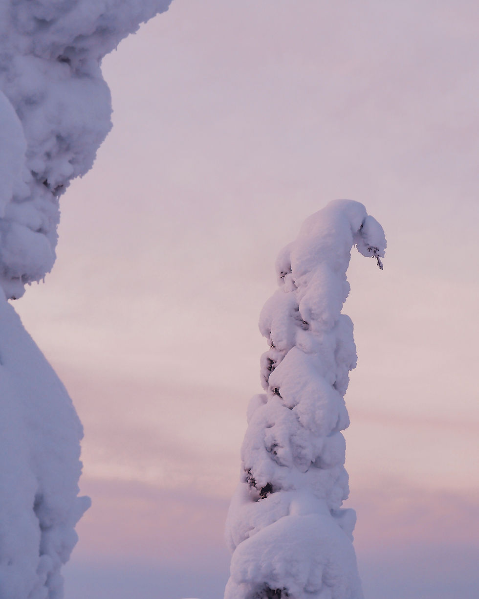 6D03DEDF-4D1A-4422-B944-D371CBD11BA7