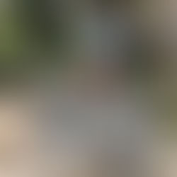 Exceptional Bartender Trolley