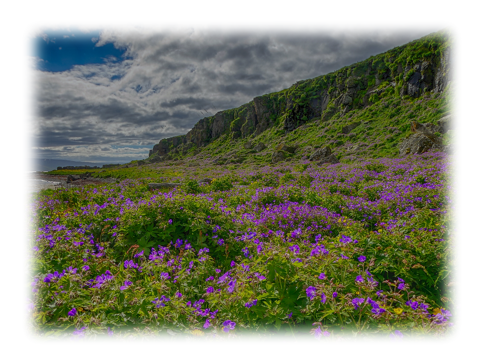 The song of Kerling the Cliff. Retold.
