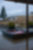 PhotoBySolfure4v1a5093.jpg
