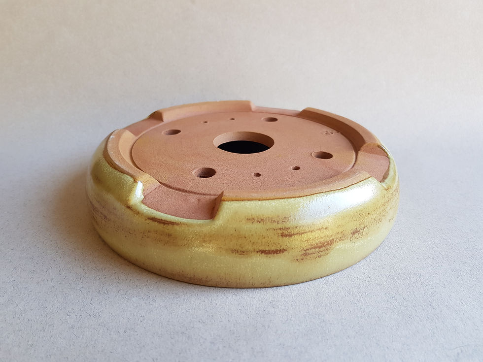 Miniature : Pot Bonsaï roux vert  17,5 cm