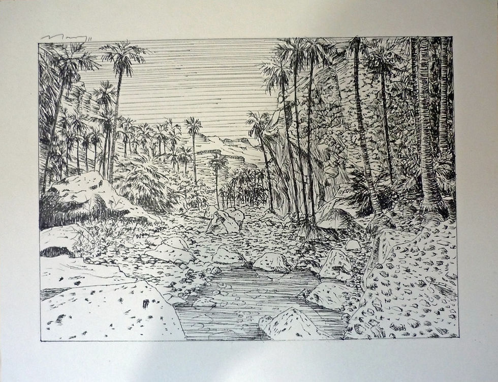 Oasis