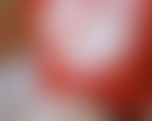 美味しいごはん🍚