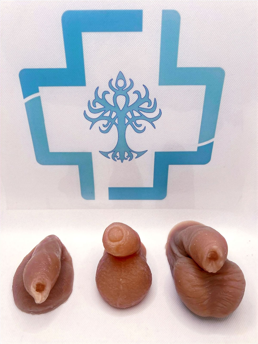 Thumbnail: PymPack 2.0 | FTM Packer | Fast delivery