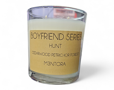 Book Boyfriend Series