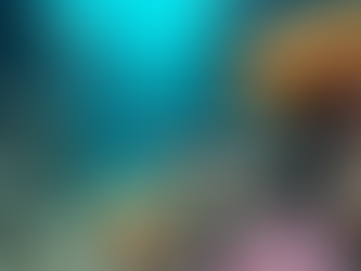 Unveiling the Truth About Sea Snakes in the Maldives: Understanding Their Venom and Risks to Humans