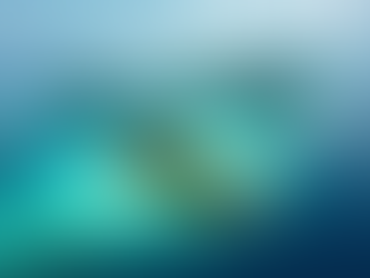 Scopri perché l'arcipelago delle UMaldives offre un'esperienza sensoriale senza pari