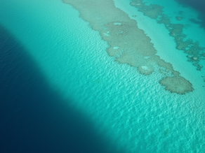 كيف يؤثر المد والجزر والرياح على تجربة البحر في المالديف خلال اليوم؟