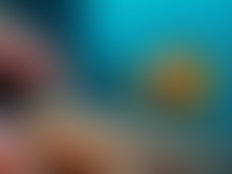 Découvrez le Poisson-Bourse Picasso : Un Joyau Coloré et Étonnant des Récifs de UMaldives