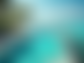 لماذا يعتبر المسبح الخاص ضرورة للخصوصية والمتعة العائلية في فيلات المالديف