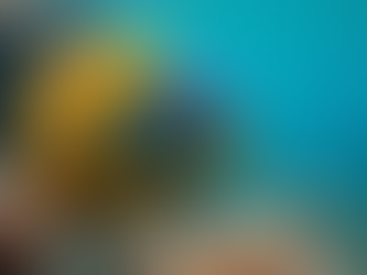 Der bunte Architekt der Malediven: Wie der Papageifisch traumhafte Strände erschafft