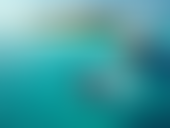 Descubre el Fascinante Comportamiento Social de los Delfines Giradores en Maldivas