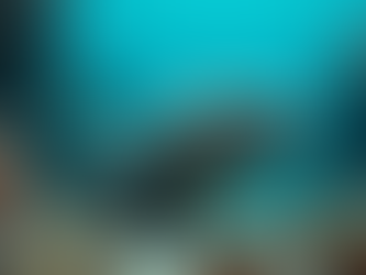 Svelando la Verità sulla Murena Gigante delle Maldive Tra Realtà e Falsi Miti