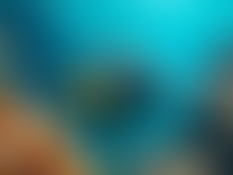 Discover the Majestic Napoleon Wrasse: Why This Gentle Giant is Key to Our Coral Reefs