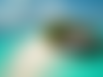 خدمة الخادم الخاص في المالديف: رفاهية لا تضاهى للعائلات الخليجية