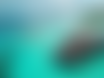 Water Villa vs Beach Villa Der ultimative Leitfaden zur perfekten Wahl für Reisende