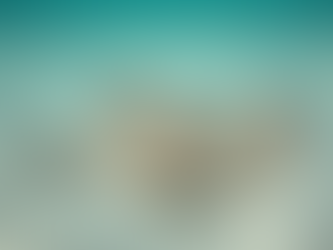 Die Geheimnisse der Sandlagunen: Rochen und Stechrochen sicher beobachten