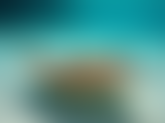 Observer des Raies et Pastenagues : Secrets pour une Exploration Sécurisée et Respectueuse des Lagons