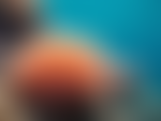 رحلة البوليب المرجاني: كيف يساهم في الحفاظ على شعاب المالديف المرجانية