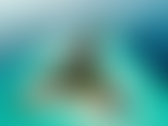 Perché Scegliere un Travel Designer per le Maldive e Non Utilizzare Booking? Scopri i Vantaggi Esclusivi