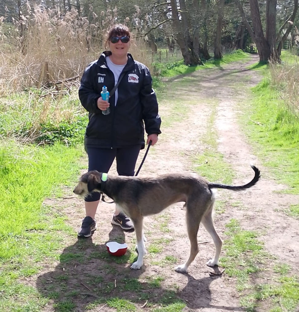 The Handsome Mr Stanley