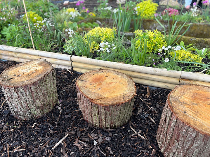 72a1cbd2-bd9c-4b51-8c8e-bd085335d0f8.JPG