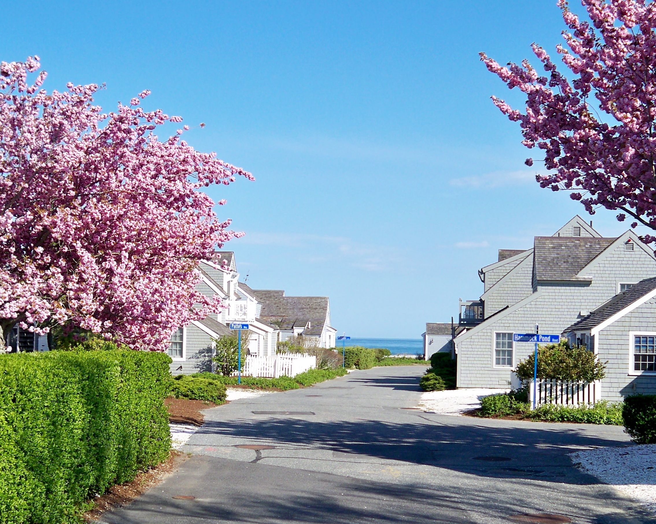 Area New Seabury New Seabury Vacation Homes