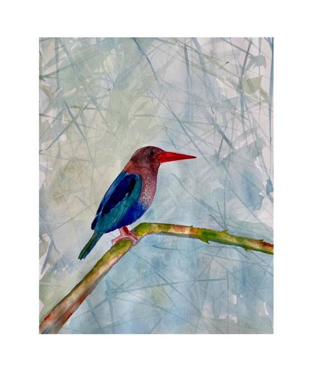 burung S.