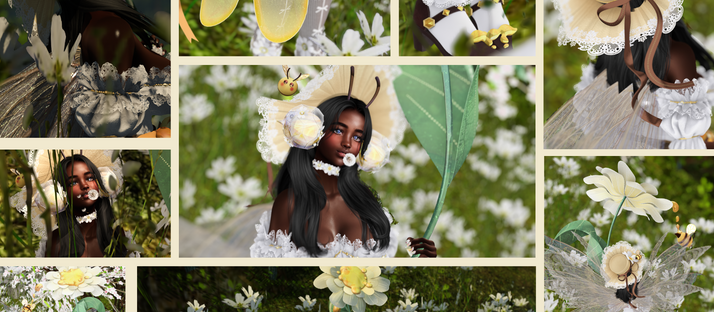 Blog# 10: A Moment of Peace