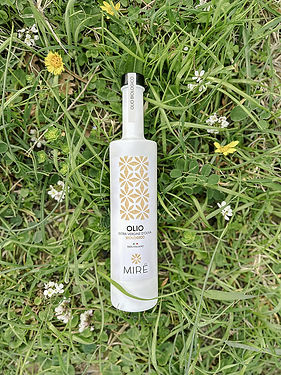 olio mire39.jpg