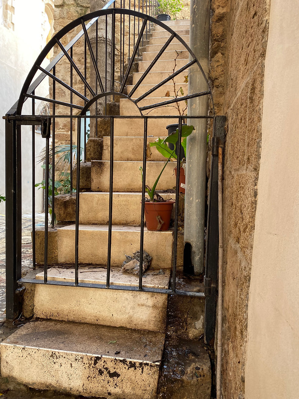 old Yaffo