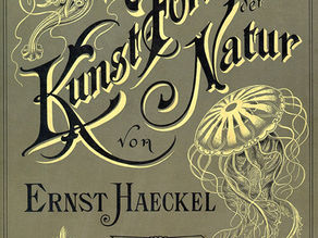 Couverture de l'édition originale 1904