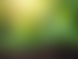 Embracing Vulnerability: My Journey Toward Men's Mental Health and Self-Care