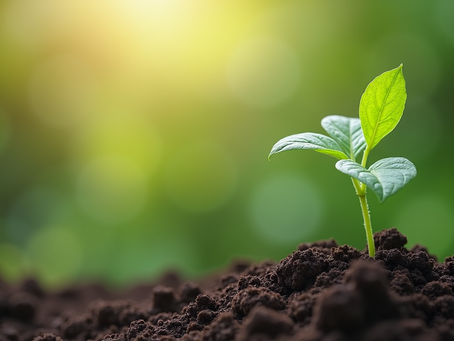 Embracing Vulnerability: My Journey Toward Men's Mental Health and Self-Care