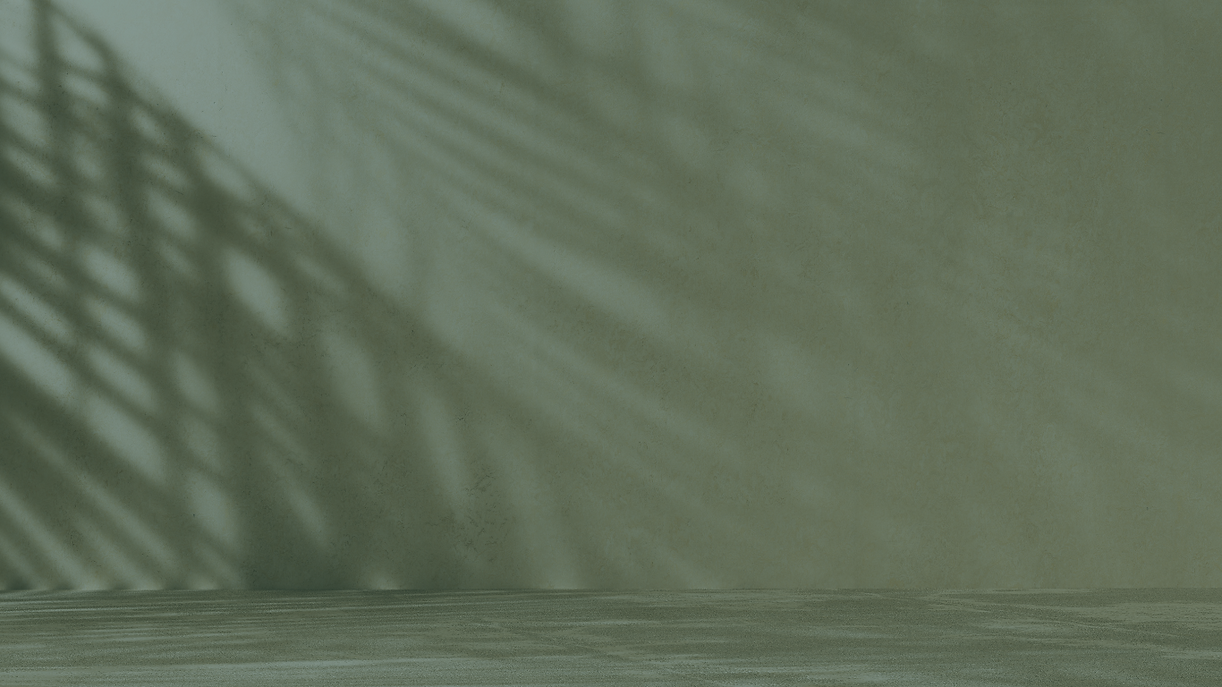 Naranja Negocios Servicios Sitio Web-2.png