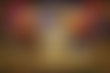 Happy New Year from the Dallas County Sheriff’s Department!