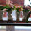 Thumbnail: Custom Plant Stands