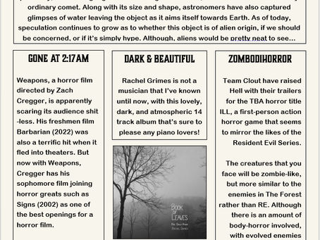 3rd Palm Post - 3I/ATLAS, Weapons Movie, ILL Video Game, & Book of Leaves by Rachel Grimes