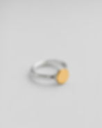 Gold and Silver Flat Top Ring