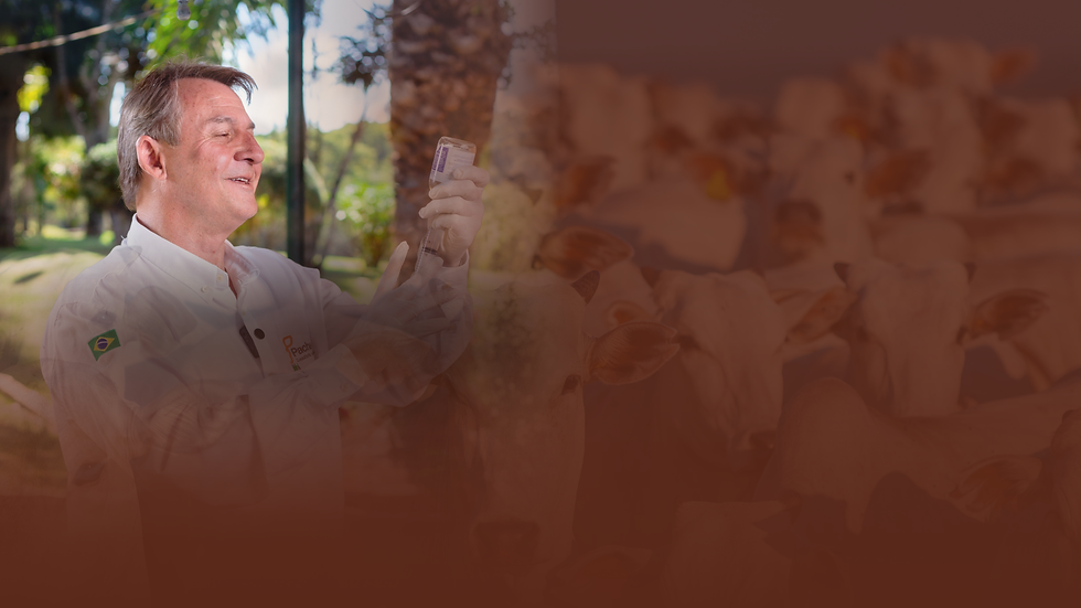 Site - Pacheco (3).png