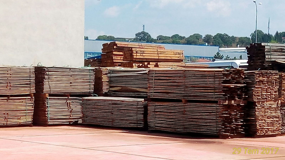 Küçük resim: Meşe parke taslağı