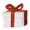 Wrapped Gift