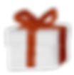Wrapped Gift