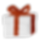 Wrapped Gift