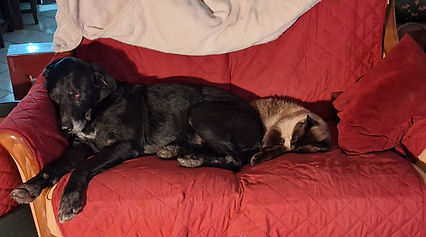 WhatsApp Image 2026-01-29 at 15.39.27.jpeg