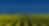 Group 10 (2).png