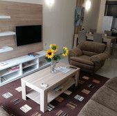 Living Room Pic 3